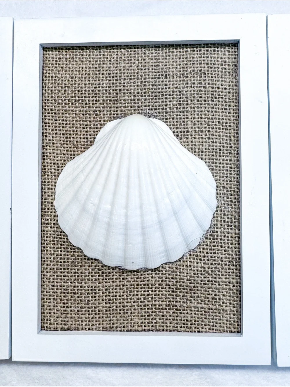 Coastal Seashell Wall Art Set of 3 Framed Beach Decor Burlap Background